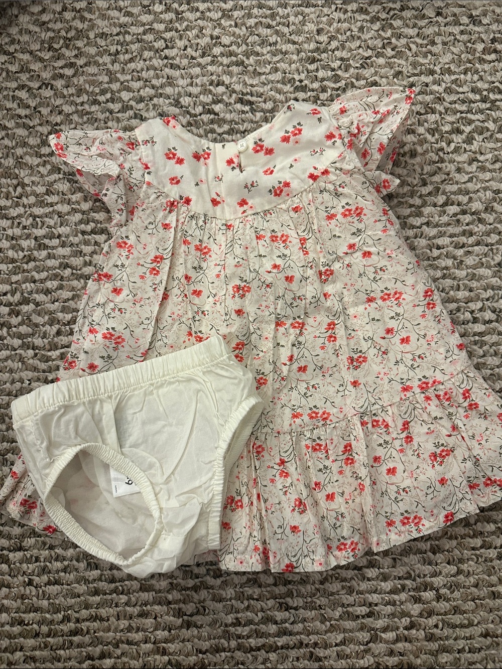 OshKosh B'gosh Baby B’gosh Cream Dress with Coral Floral Print and Bloomers